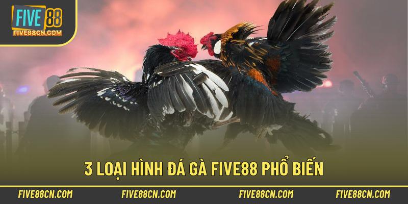 3 loại hình đá gà Five88 phổ biến