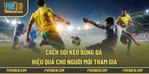 Cách Soi Kèo Bóng Đá Hiệu Quả Cho Người Mới Tham Gia