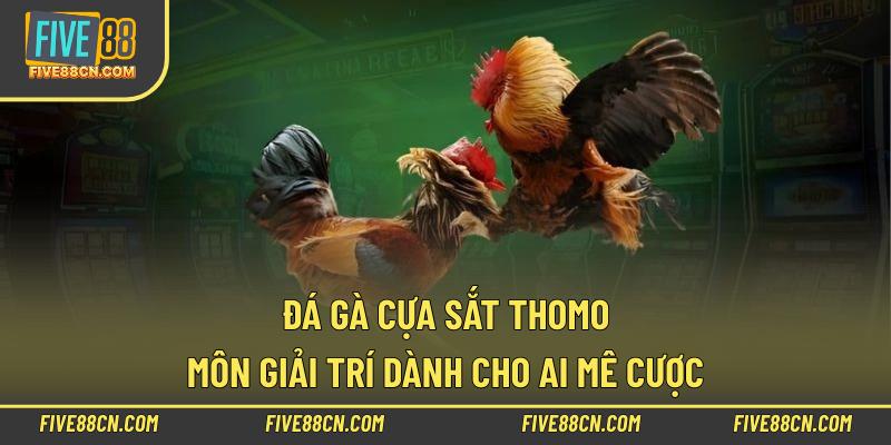 Đá Gà Cựa Sắt Thomo – Môn Giải Trí Dành Cho Ai Mê Cược