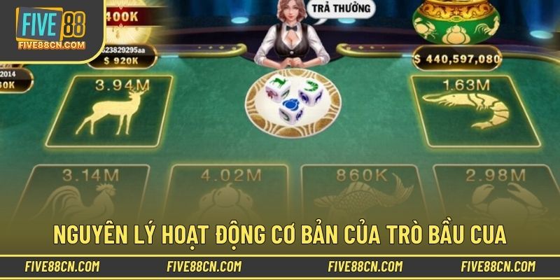 Hiểu luật để soi cầu chính xác hơn