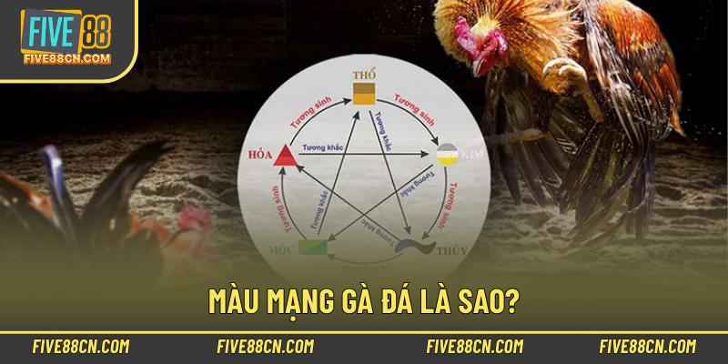 Màu mạng gà đá là sao?