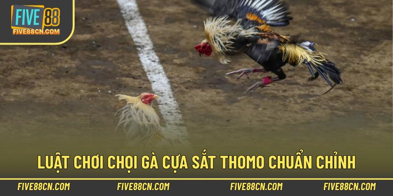 Luật chơi chọi gà cựa sắt thomo chuẩn chỉnh