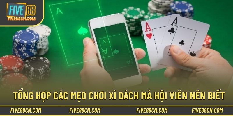 Mẹo chơi xì dách hiệu quả dành cho tân thủ