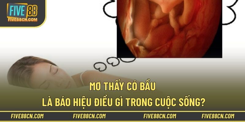 Mơ thấy có bầu là báo hiệu điều gì trong cuộc sống?