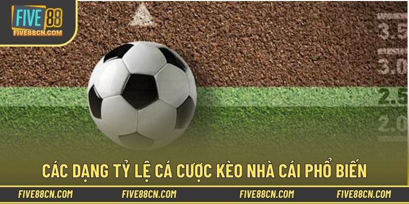 Nhận diện đúng từng loại tỷ lệ cá cược kèo nhà cái