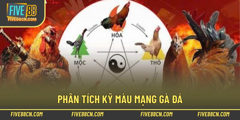 Phân tích kỹ màu mạng gà đá