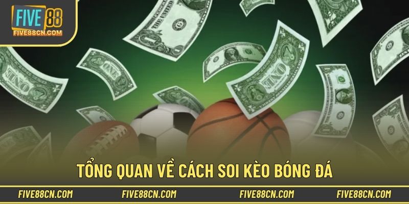 Tìm hiểu thông tin về cách soi kèo bóng đá 