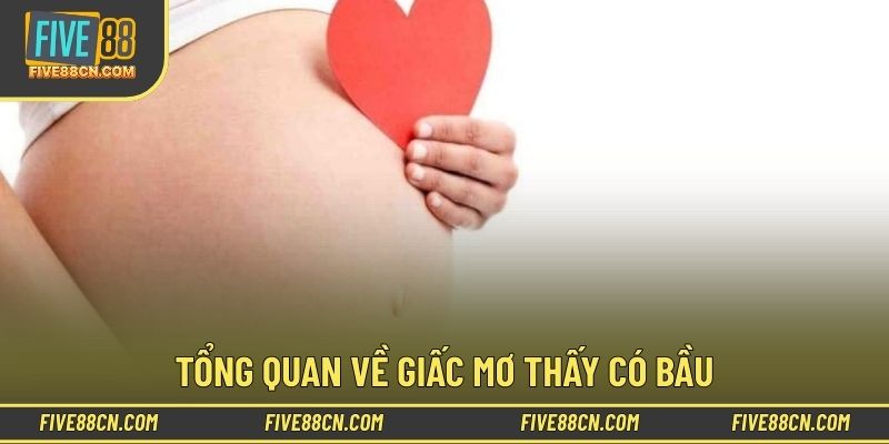 Tìm hiểu thông tin về chiêm bao thấy có bầu 