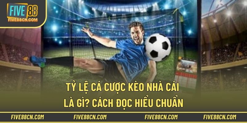 Tỷ lệ cá cược kèo nhà cái - Hướng dẫn đọc hiểu chuẩn